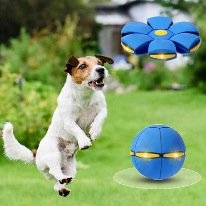 ✨80% Off Today - Last 10 Minutes! ✨ The Viral Metaball That Bounces, Flies & Entertains Everyone